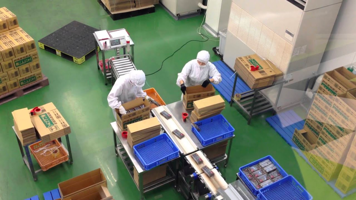 Proses Packing Di Pabrik Pengolahan Makan